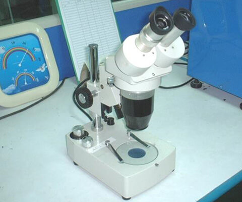 Stereo Microscope